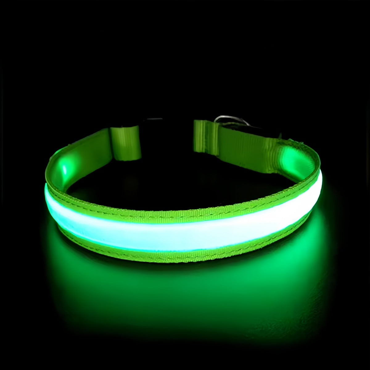 LED Illuminated Pet Safety Collar