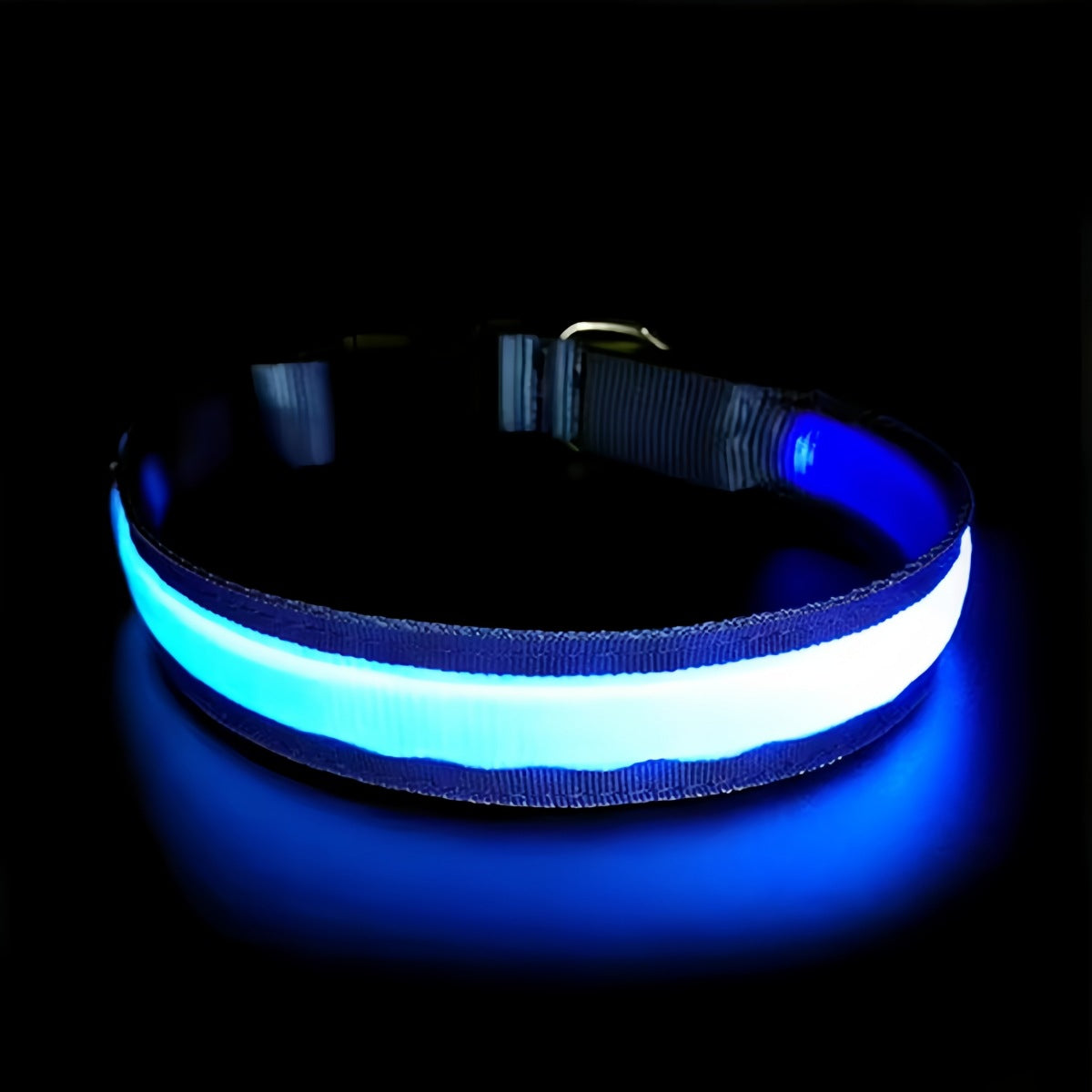 LED Illuminated Pet Safety Collar